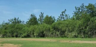 Advantage of buying land in Nairobi