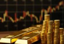 Best Special Funds in Kenya