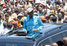 List of companies and properties owned by William Ruto