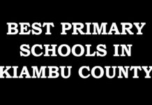 Best Primary Schools in Kiambu County