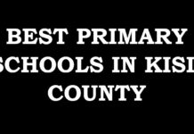 Best Primary Schools in Kisii County