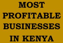 30 Most profitable businesses to start in Kenya with little Capital 2026