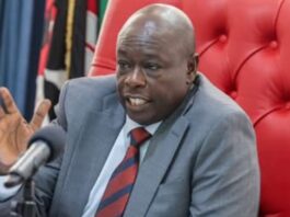 List of 22 Companies owned by Rigathi Gachagua