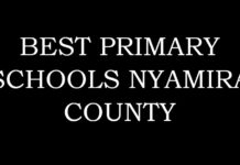 Best Primary Schools in Nyamira County