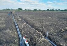 Faulu Irrigation LTD gives Kenyan farmers hope by introducing smart irrigation