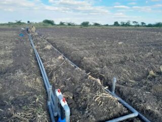 Faulu Irrigation LTD gives Kenyan farmers hope by introducing smart irrigation