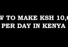 12 ways to make Ksh10,000 daily in Kenya