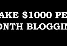 Techniques Bloggers should employ to make $1000+ in 2027