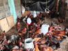 How to start poultry farming in Kenya with Ksh30,000